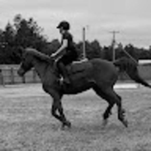 elisewestbro775